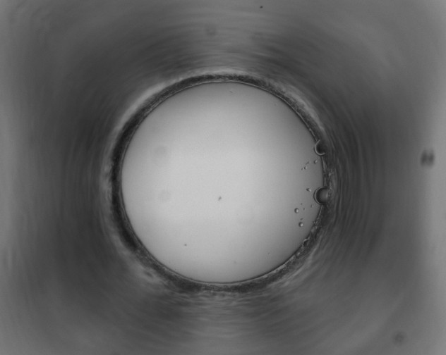 X0000102460676200808080945