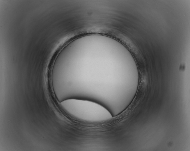 X0000102460678200808080945