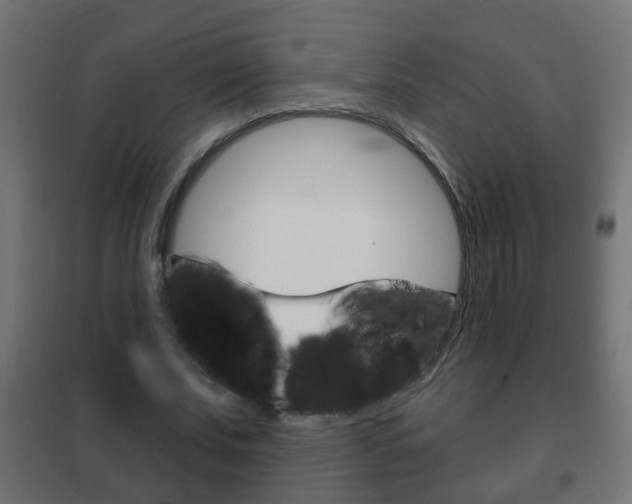 X0000102460679200808080945