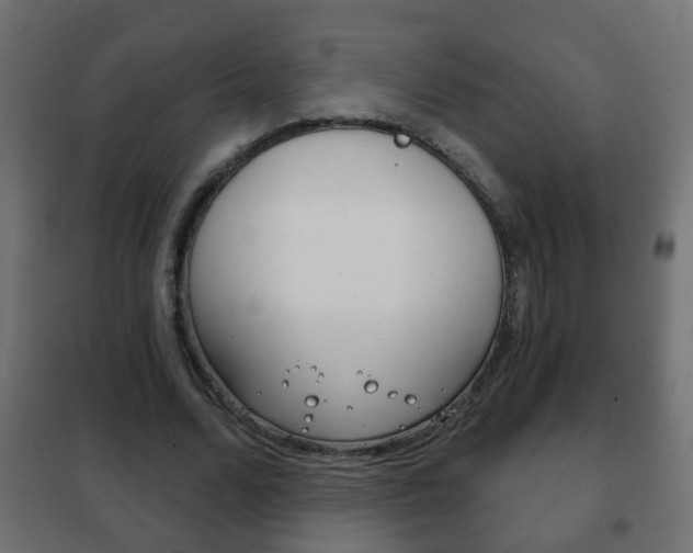 X0000102460680200808080945