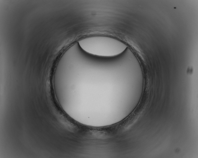 X0000102460681200808080945