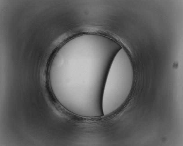 X0000102460682200808080945