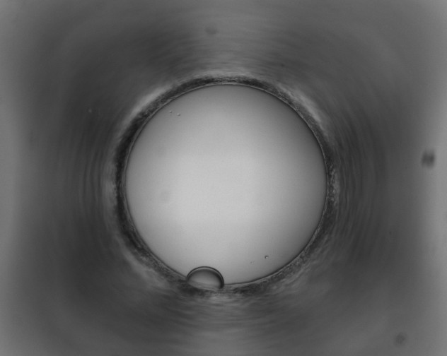 X0000102460684200808080945