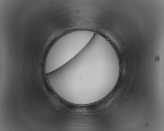 X0000102460685200808080945