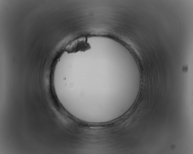 X0000102460686200808080945