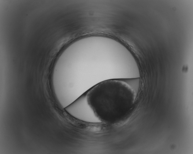 X0000102460687200808080945