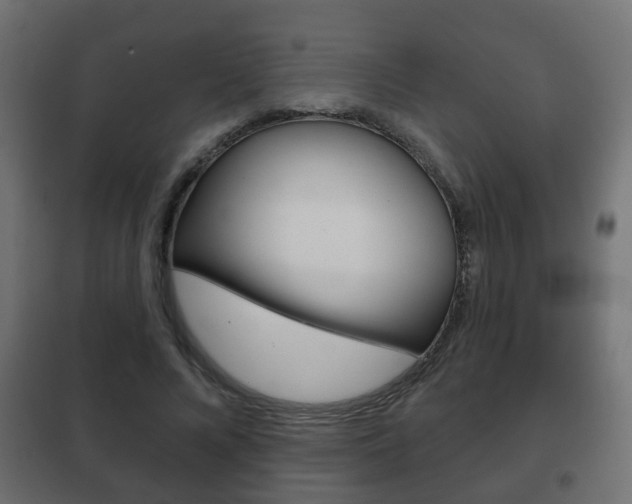 X0000102460688200808080945