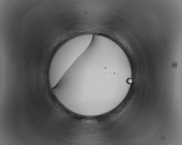 X0000102460689200808080945