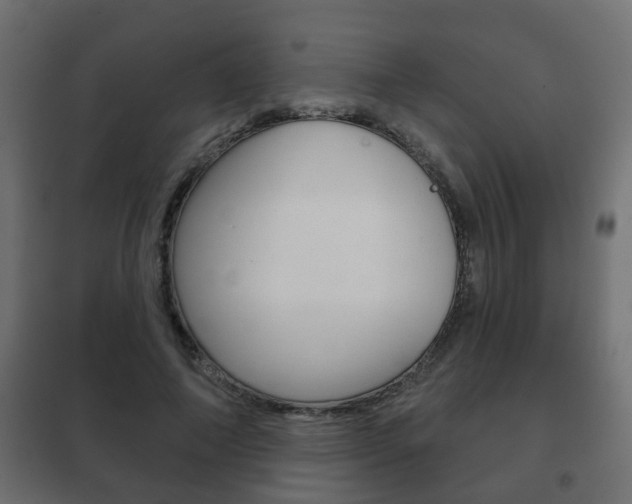 X0000102460690200808080945