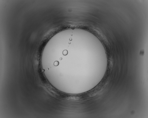 X0000102460691200808080945