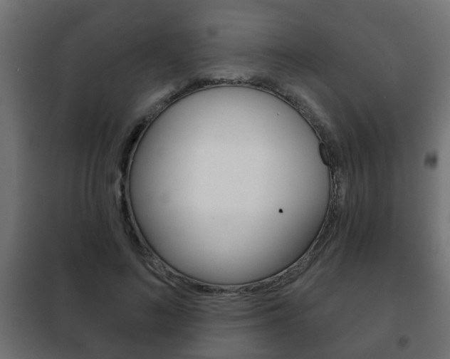 X0000102460692200808080945