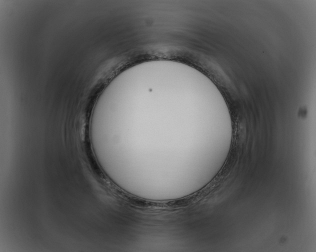 X0000102460694200808080945