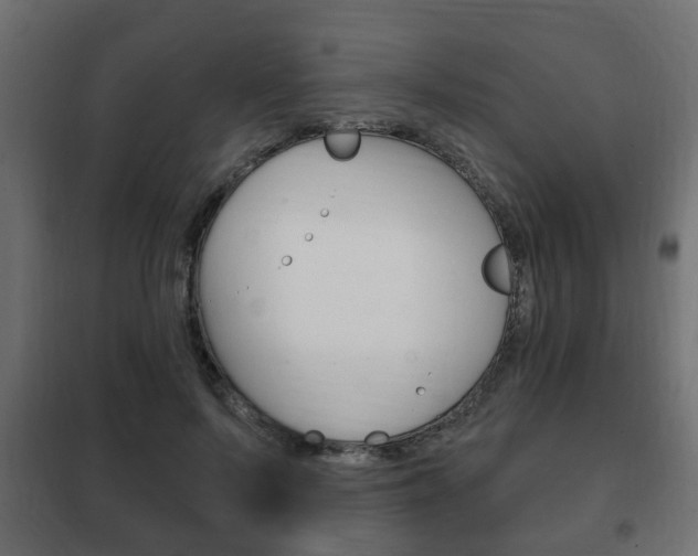 X0000102460695200808080945