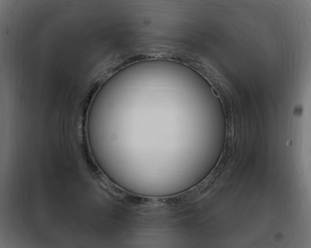 X0000102460696200808080945