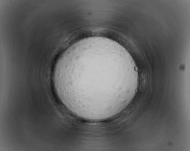 X0000102460698200808080945