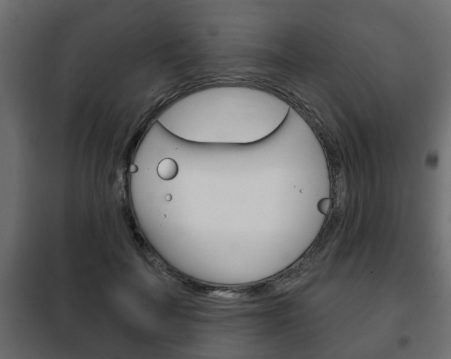 X0000102460699200808080945