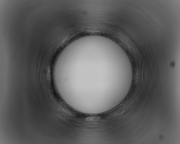 X0000102460700200808080945