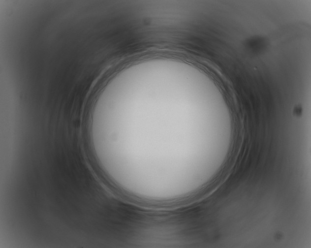 X0000102460701200808080945