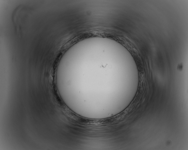 X0000102460702200808080945