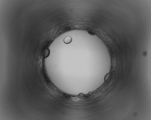 X0000102460703200808080945