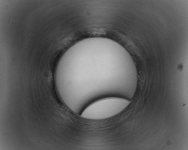 X0000102460704200808080945