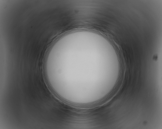 X0000102460705200808080945