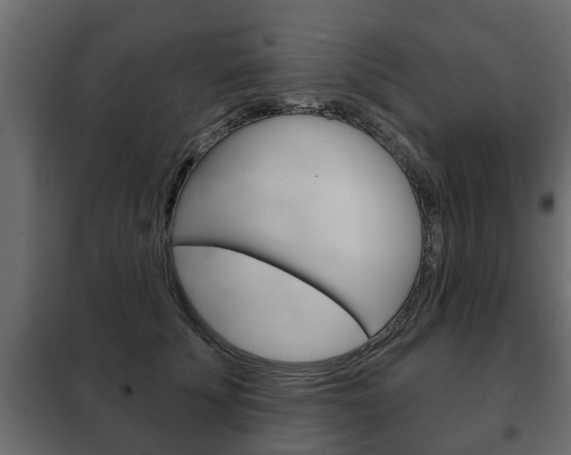 X0000102460707200808080945