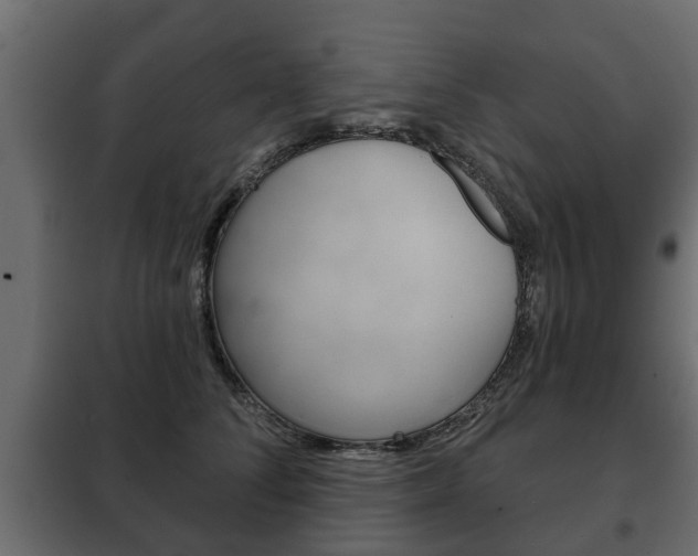 X0000102460708200808080945