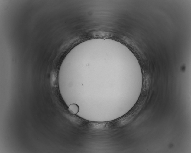 X0000102460709200808080945