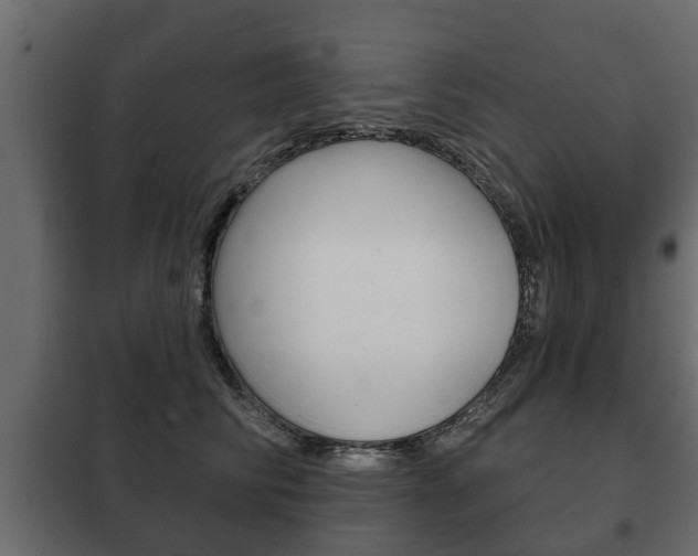 X0000102460710200808080945
