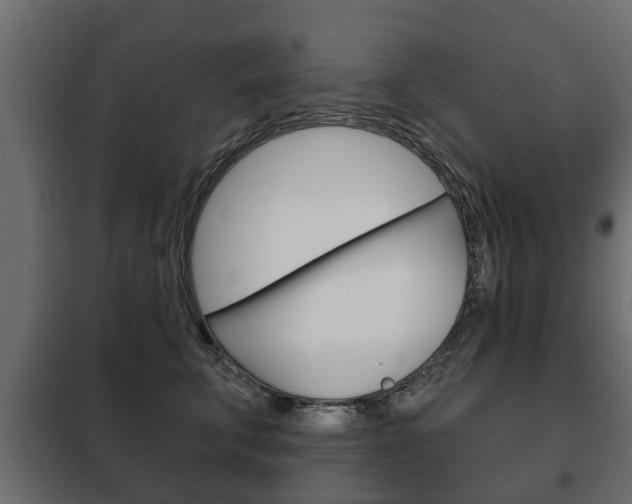 X0000102460711200808080945