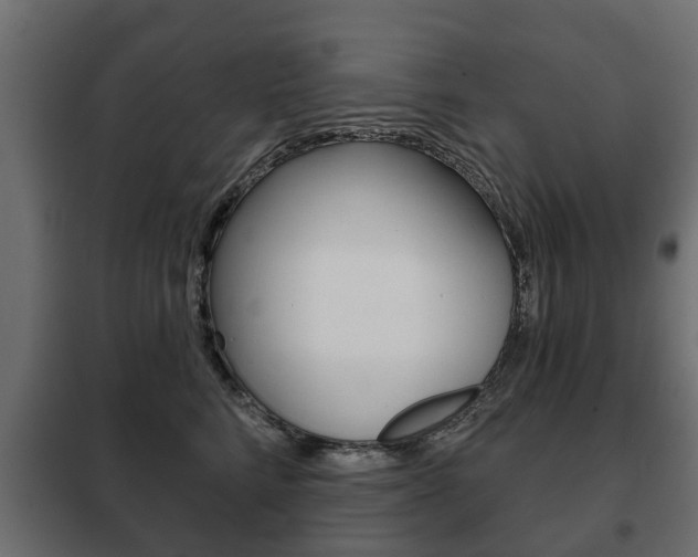 X0000102460712200808080945