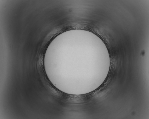 X0000102460713200808080945