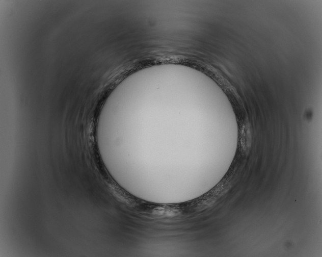 X0000102460714200808080945