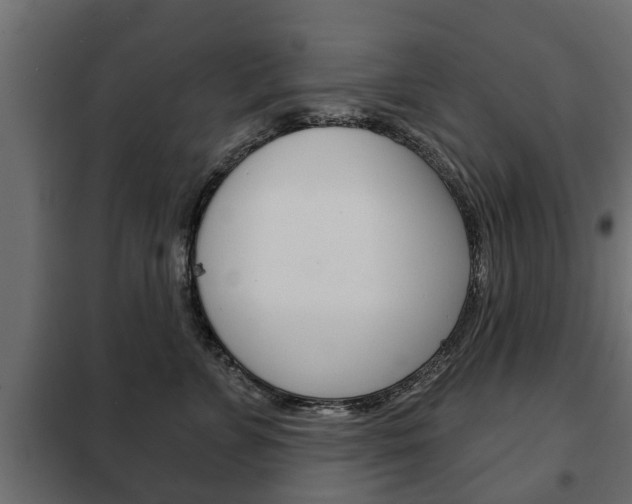 X0000102460715200808080945