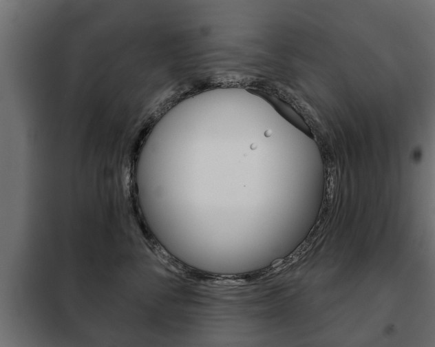 X0000102460716200808080945