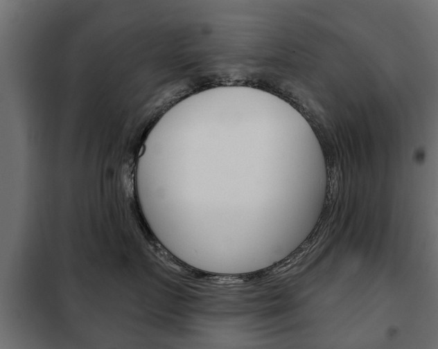 X0000102460719200808080944