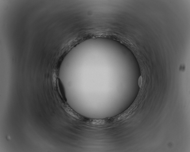 X0000102460720200808080944