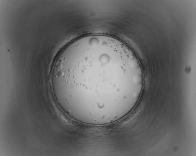 X0000102460721200808080944