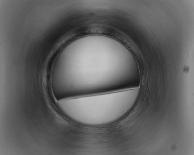 X0000102460722200808080944