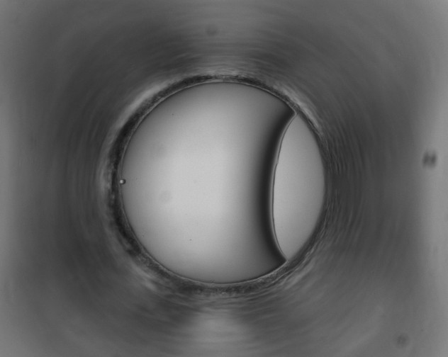 X0000102460723200808080944