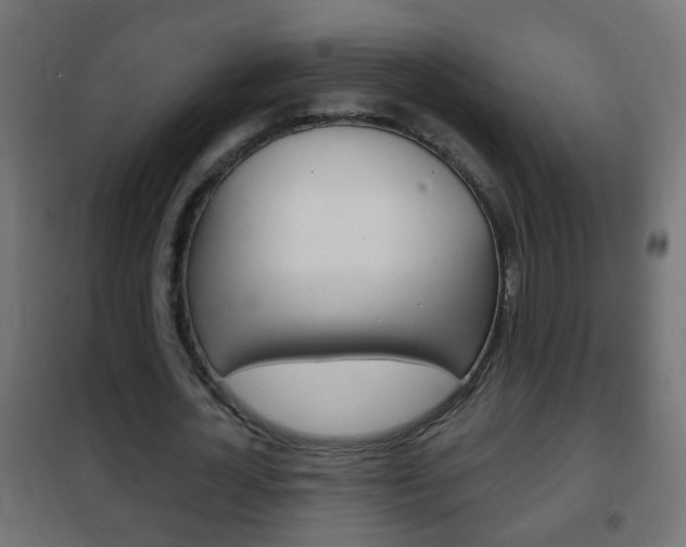 X0000102460724200808080944
