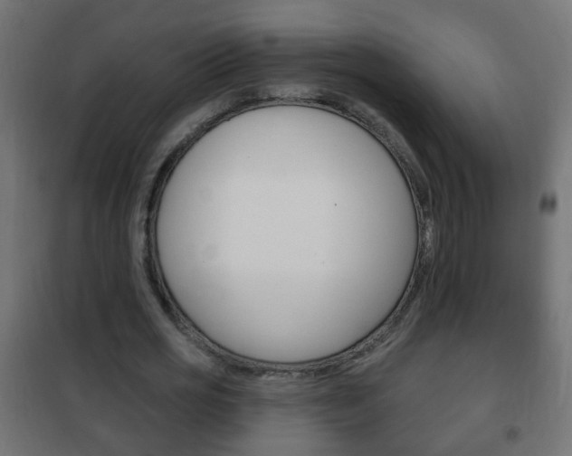 X0000102460725200808080944