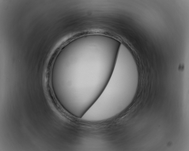 X0000102460726200808080944