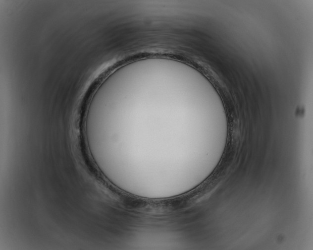 X0000102460727200808080944