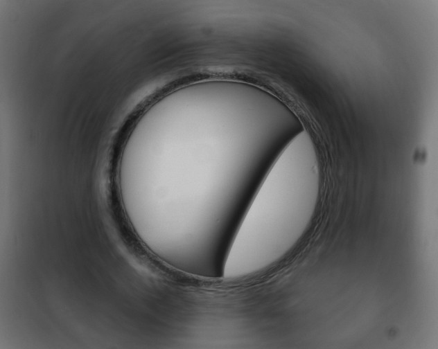 X0000102460728200808080944