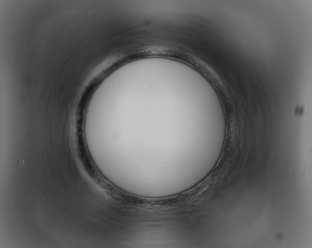 X0000102460730200808080944