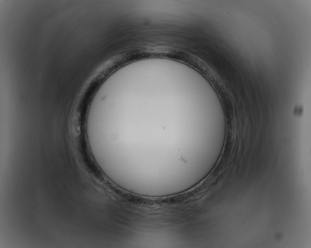 X0000102460731200808080944