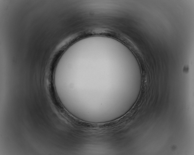 X0000102460732200808080944