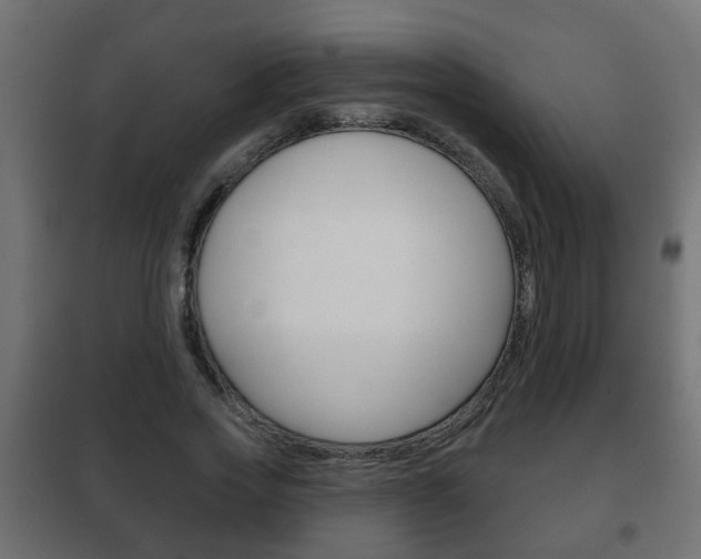 X0000102460733200808080944